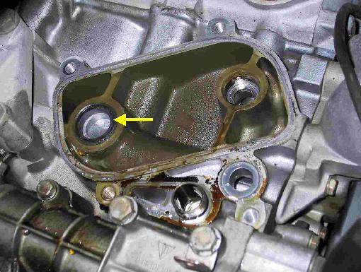 Oil Cooler General Information and Seal Replacement
