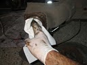 Rear Wheel Bearing Replacement - Steel Trailing Arms